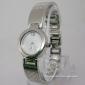 New Fashion Ladies Stainless Steel Watch (HLSL-1040)